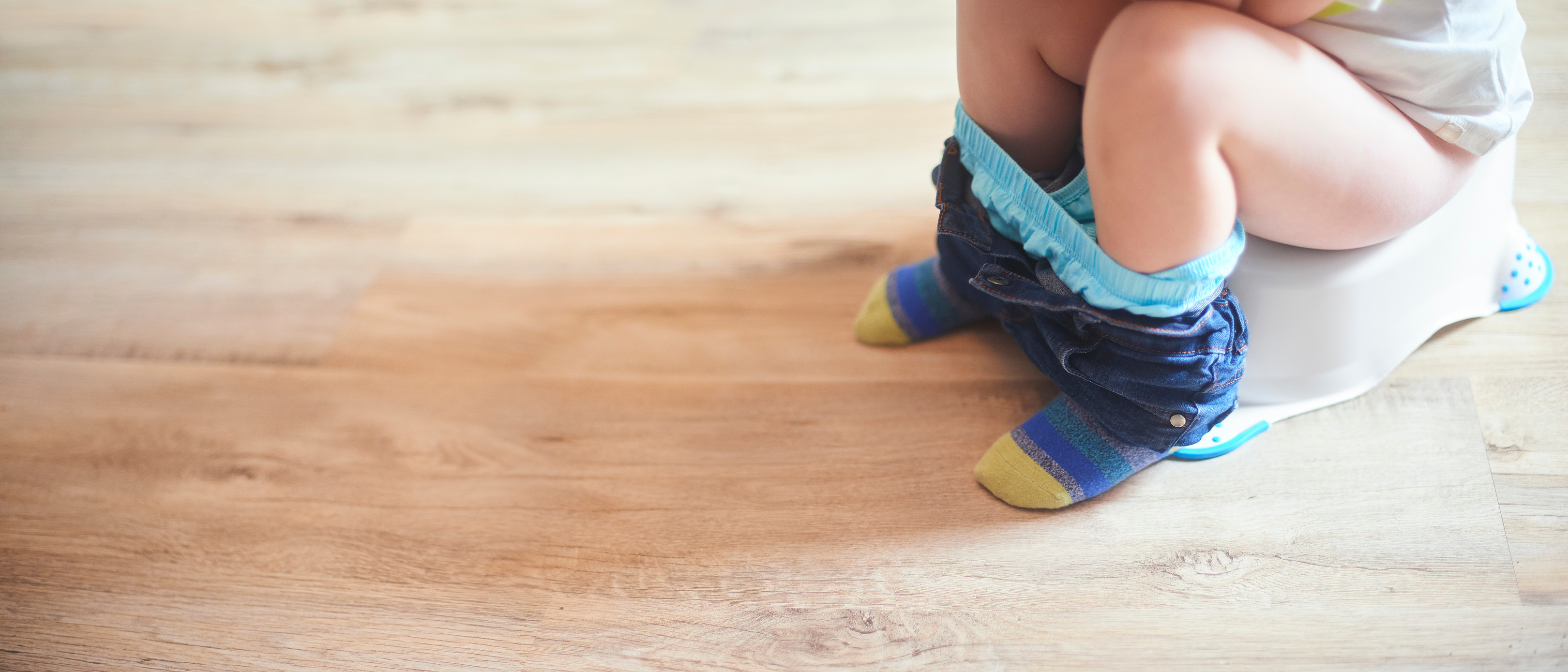 Toddler potty training